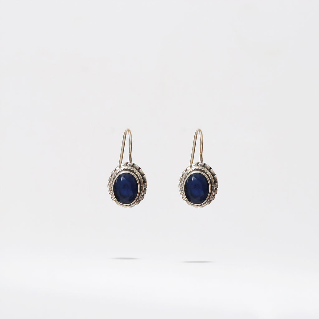 Oval Blue Stone Hook Earrings