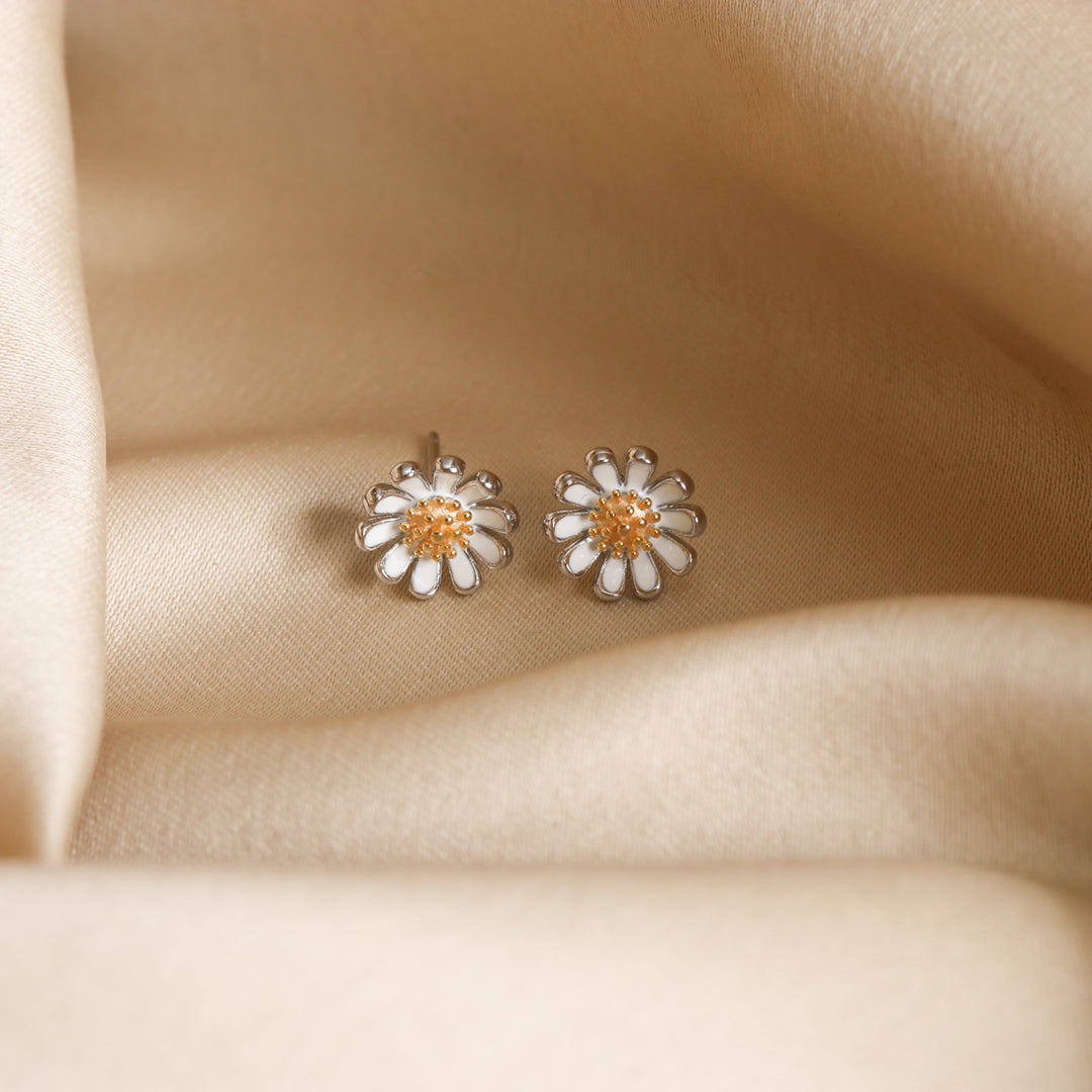 Daisy Studds