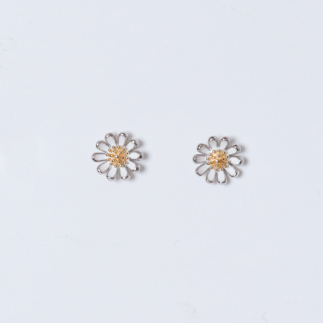 Daisy Studds