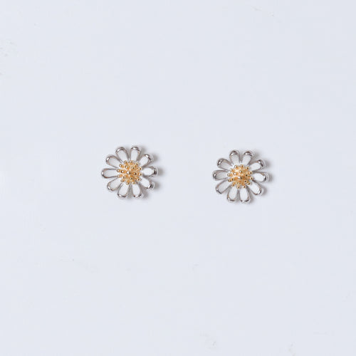 Daisy Studds