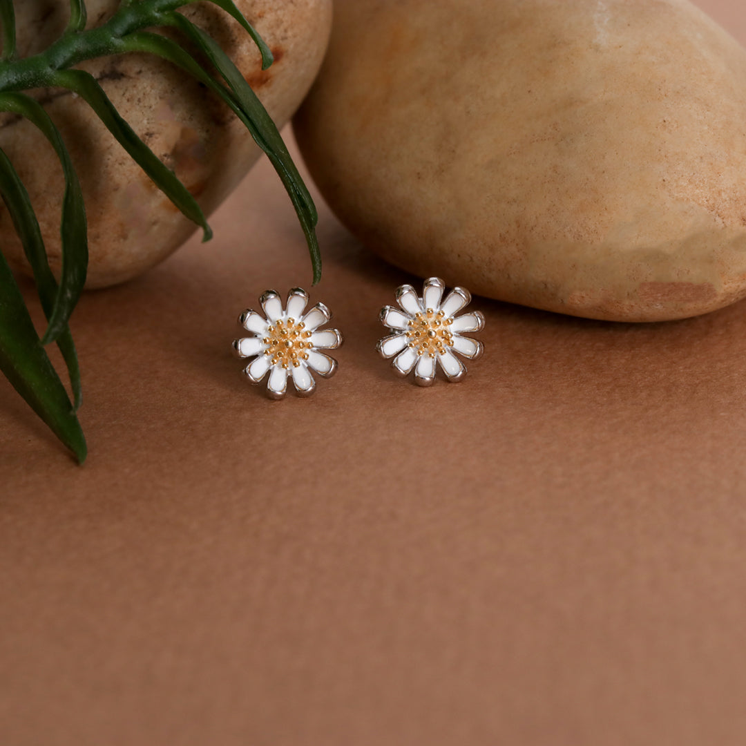 Daisy Studds