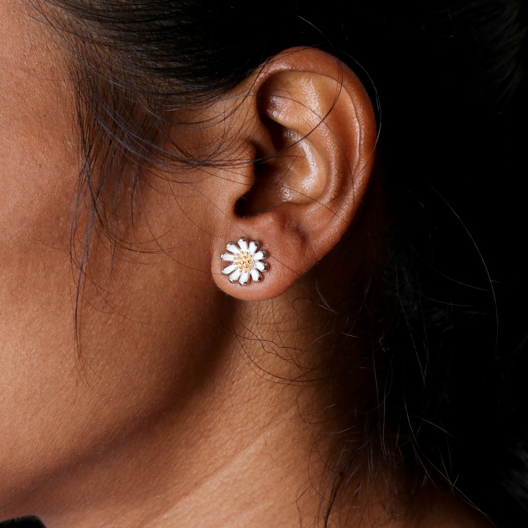Daisy Studds