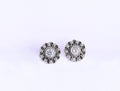 Floral Zircon Studds