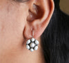 Load image into Gallery viewer, Pearl Hook Earrings